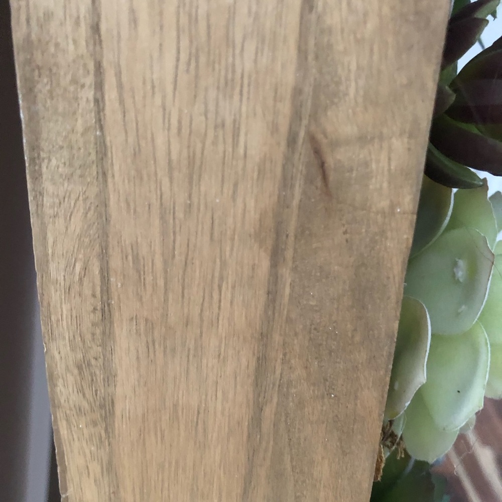 Pottery Barn Faux Succulent Wall Art Large - Picture 10 of 10